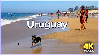 4K】WALK 🏖  BEACH   Summer - Punta del Este  - URUGUAY