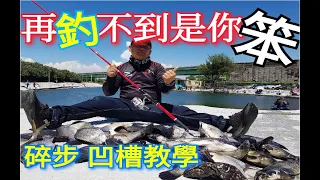 海釣場大破解!學會等於釣魚不用錢!老闆直嘆生意難做啊!!!全台海釣場攻略第一集(再釣不到就是你笨)