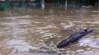 Наводнение в Сухуме
