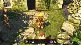 Divinity : Original Sin Enhanced Edition