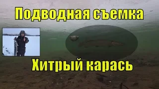 Щуки в кадре. Подводная съемка. Рыбалка на жерлицы 2 !