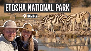 Wildlife Wonderland: 6 Epic Days in Etosha National Park