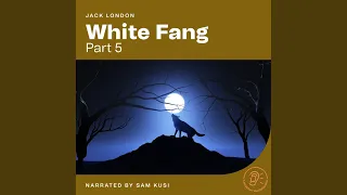 Chapter 9 - White Fang (Part 5)