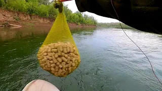 Рыбалка в проводку и на живца