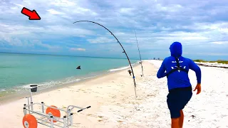 Fishing a Florida Beach and Hooked THIS! **Biggest of the Year**