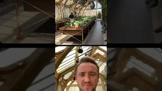 Tom Felton Instagram live with wblondontour / june 21, 2022