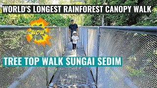 The Tree Top Walk Sungai Sedim | Kulim, Kedah