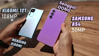 Samsung A54 atau Xiaomi 12T kamera??