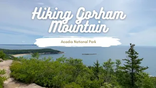 Gorham Mountain Loop Hike - Acadia National Park