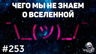 Сергей Попов — Чего мы пока не знаем о нашей Вселенной | Подкаст The Big Beard Theory 253