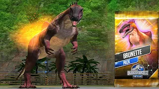 BRUNETTE PACK BRUNETTE BATTLE | JURASSIC WORLD THE GAME