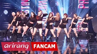 [Fancam/풀캠] PRISTIN(프리스틴)_Black Widow(블랙 위도우)_Simply K-Pop_033117