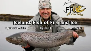 Iceland - Fish of Fire and Ice