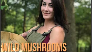 Hunting For Mushrooms- My Grocery Store is in the Woods!