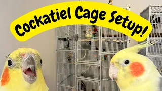 Cockatiel Cage Setup | Bird Cage Tips & Ideas | TheParrotTeacher AD