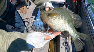 Clear Lake Summer Fishing!