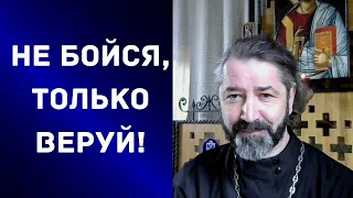 СВЯЩЕННИК РЯДОМ. О плодах нашей веры. Посещение храма запрещено. Что делать? Эфир 14 апреля 2020г.