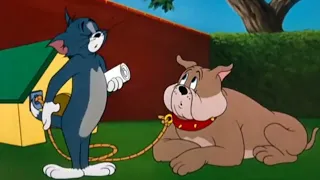 Tom & Jerry | Tom & Jerry in Full Screen | Classic Cartoon Compilation | @kashifkhan_kidstv626