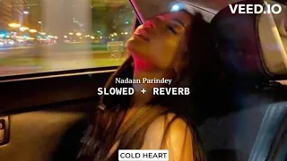 Nadaan Parindey (slowed + reverb) | A. R. Rahman, Mohit Chauhan | COLD HEART