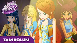 World of Winx | TÜRKÇE | S2 Bölüm 13 | Tinkerbell’in Dönüşü | TAM BÖLÜM