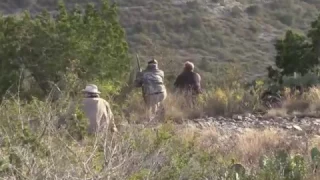 Free-range Texas Aoudad Hunting