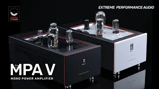 SW1X MPA V 'Hercules' Mono Power Amplifier