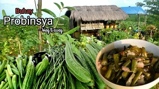 A peaceful life in the countryside | Harvesting and cooking vegetables | Biag ti Away by Balong