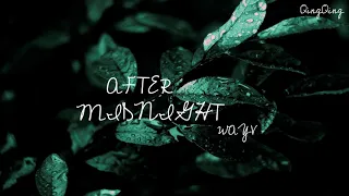 [Vietsub+Pinyin] AFTER MIDNIGHT - WAYV