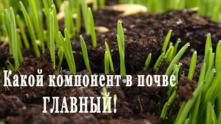 ПАН120 Сделать землю почву плодородной учимся у природы. Природное земледелие