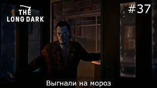 Выгнали на мороз:The Long Dark(Episode 4) #37