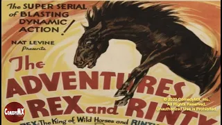 The Adventures of Rex and Rinty (1935) | Complete Serial |  All 12 Chapters | Rex the Wonder Horse