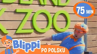Wizyta w ZOO | Blippi po polsku | Nauka i zabawa dla dzieci