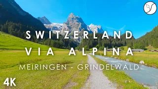 Via Alpina Switzerland - Stage 10 - Meiringen to Grindelwald - 4K