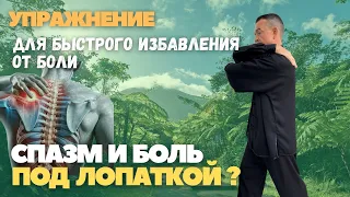 Спазм и боль под лопаткой?