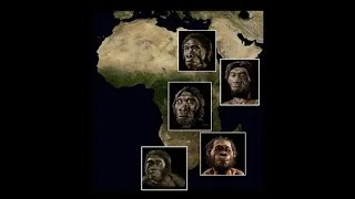 CARTA: Origins of Genus Homo – Steven Churchill: Southern Africa and the Origin of Homo