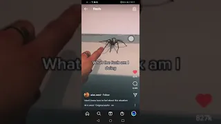 A spider booped me lol.