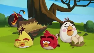 Angry Birds Toons S1E42   Hiccups