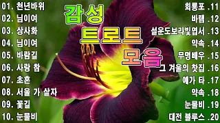 감성 트로트 모음 | KPOP (TROT) PLAYLIST/여인의 눈물/꽃길/꽃길💖🍂