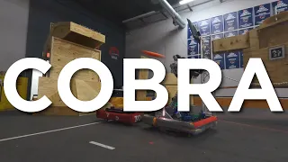 3015 Ranger Robotics 2024 Reveal: Cobra