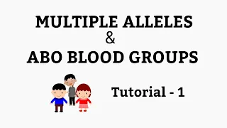 Multiple Alleles - ABO blood groups - their genotypes and co dominance. NCERT Class 10,12 Biology.
