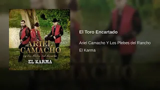 Ariel Camacho: El Toro Encartado