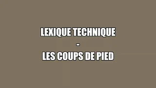 Les coups de pied - Lexique technique