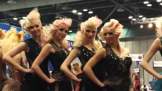 OMC Hairworld Korea 2016 Ladies Fashion (Day Style)