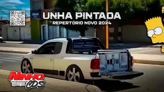 UNHA PINTADA - REPERTÓRIO NOVO FEREIRO 2024 - CD VERÃO DO UNHA ESSÊNCIA 5.0 - NINHO CDs