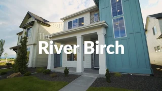 The River Birch