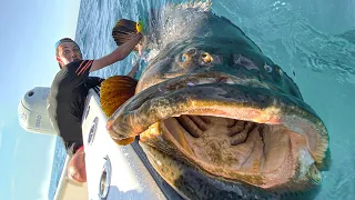 PESCAMOS O MAIOR PEIXE DO MUNDO!