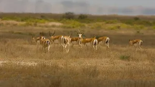 Shirvan National Park - Azerbaijan | Safari tour