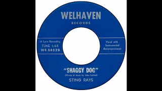 Sting Rays - Shaggy Dog