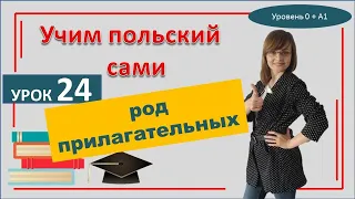 Род прилагательных в польском языке  Самоучитель польского языка  Урок 24