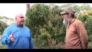 100 Tropical Fruit Trees, See What His Favorite Mango Variety Was